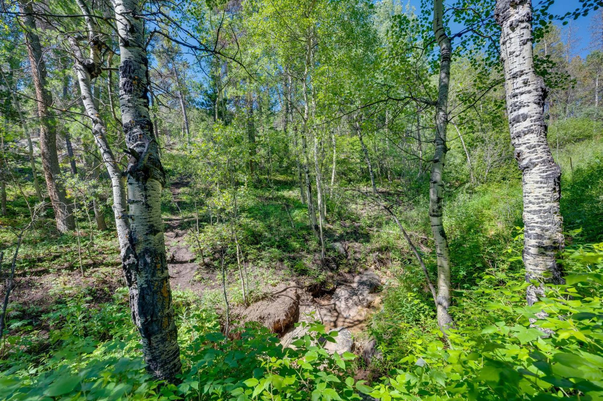 Stunning Golden Home With Deck About 35 Mi To Denver! Ngoại thất bức ảnh